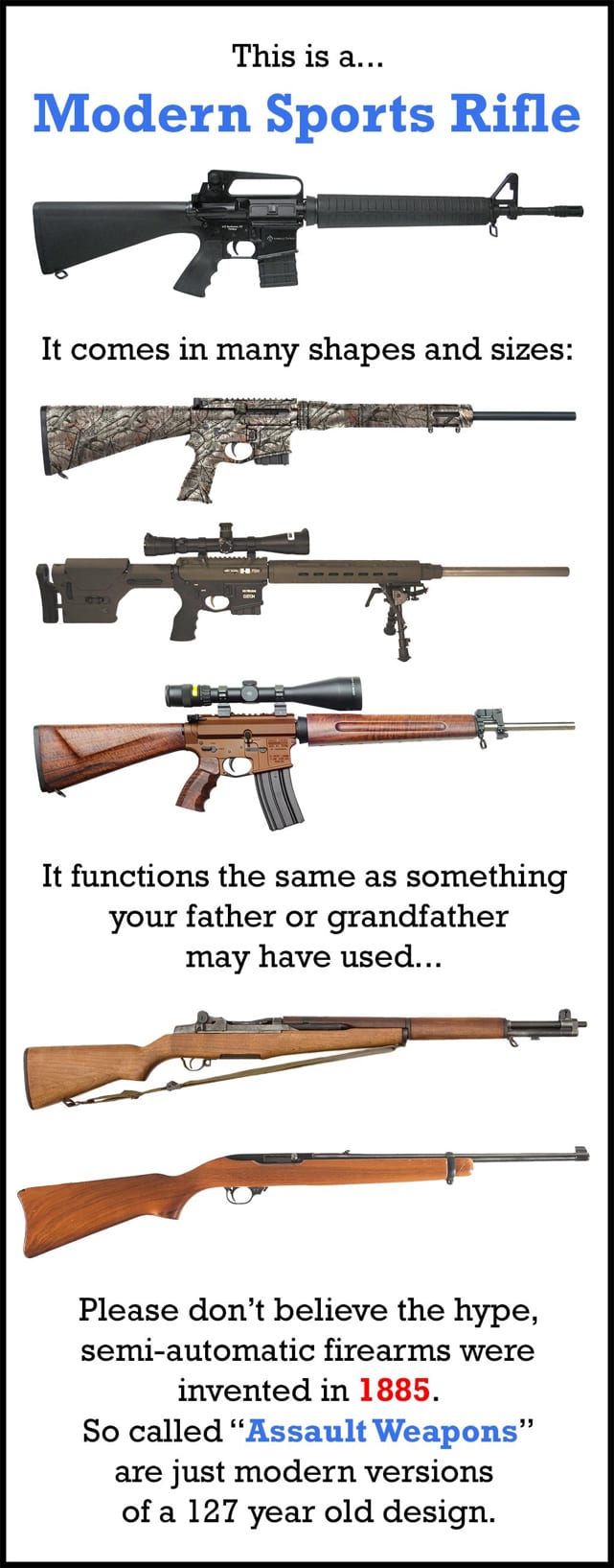 Assault Rifle vs Battle Rifle 